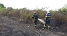 incendio la botte 10